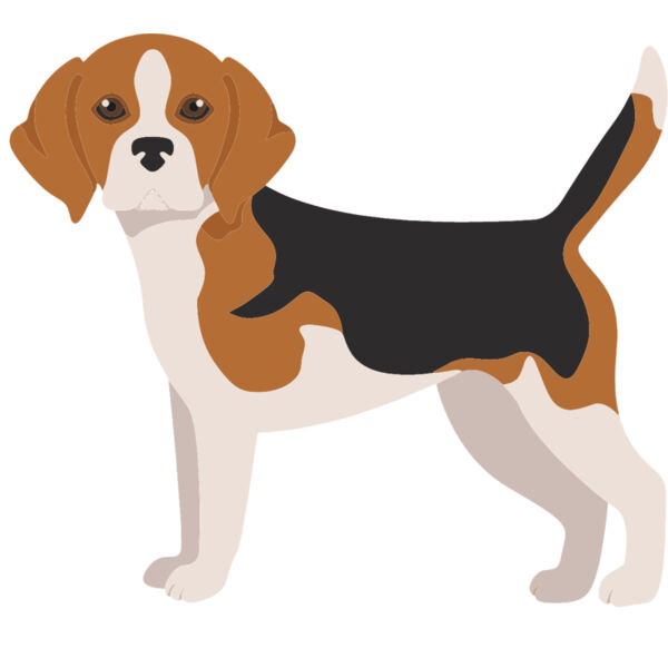 Dog & Cat & Horse Thumbnail